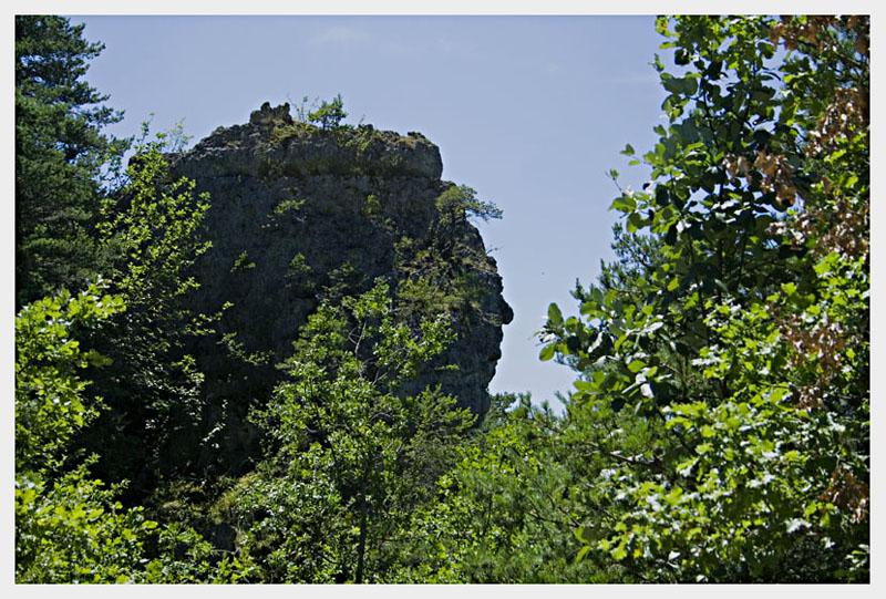 IMG_0388-1.jpg